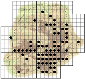 Zanthoxylum capense Waterberg distribution